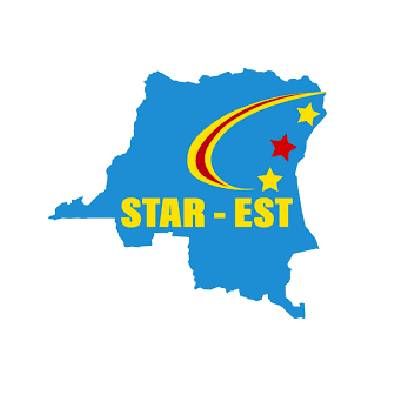 Consultant pour l’audit organisationnel 