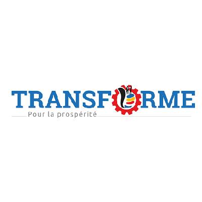 Consultant pour Mise en Œuvre